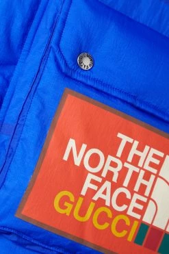 GUCCI + The North Face Daunenjacke Aus Gestepptem Shell Mit Print Und Kapuze ,Blau -Gucci Verkäufe w920 q60 1841